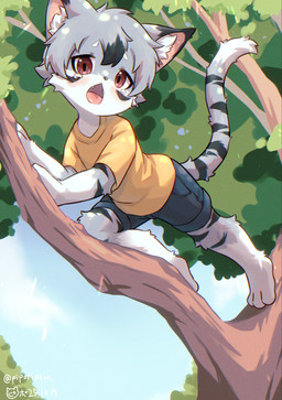 3_toes anthro barefoot blush bodily_fluids bottomwear clothing fangs feet fingers fur grey_body grey_fur grey_hair hair in_tree looking_at_viewer male open_mouth plant sad scared shirt shorts sky solo tail tears teeth toes tongue topwear tree yellow_clothing yellow_shirt yellow_topwear young young_anthro young_male piporinton domestic_cat felid feline felis mammal 2025 hi_res japanese_description