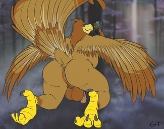 anthro anus balls big_anus big_balls cellphone electronics feathers feet genitals looking_back male overweight overweight_male phone raised_tail smartphone solo tail tail_feathers talons toes wings gtskunkrat accipitrid accipitriform avian bird eagle