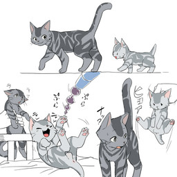 ambiguous_gender anal_beads anus balls duo feral flaccid genitals male male/ambiguous penis sex_toy text young young_feral young_male manmosu_marimo domestic_cat felid feline felis mammal 1:1 2015 digital_media_(artwork) japanese_text