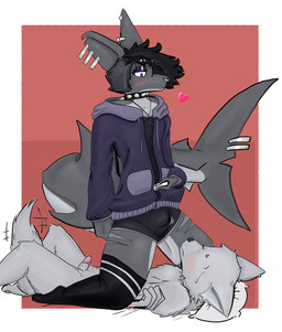 anthro clothing collar duo erection grey_body legwear male male/male piercing power_bottom purple_eyes scar text thigh_highs underwear undressing_self thesmollestboi smolshork aquatic canid canine fish mammal shark absurd_res english_text hi_res