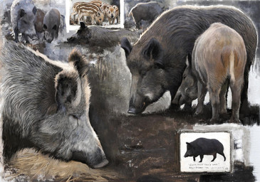 black_eyes brown_body brown_fur feral fur grey_body grey_fur group markings quadruped striped_markings stripes tan_body tan_fur renum63 mammal suid suine sus_(pig) wild_boar 2015 acrylic_painting_(artwork) artrage_(artwork) digital_media_(artwork) mixed_media painting_(artwork) traditional_media_(artwork) traditional_painting_(artwork)