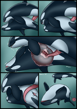 almost_fully_inside ambiguous_feral ambiguous_gender ambiguous_penetrated ambiguous_penetration ambiguous_prey animal_genitalia animal_penis black_body bodily_fluids bubble cervical_penetration cetacean_genitalia cetacean_penis cum cum_in_uterus cum_in_vagina cum_inside ejaculation erection female female/ambiguous female_feral female_penetrated female_pred feral feral_on_feral feral_penetrated feral_penetrating feral_penetrating_feral feral_pred feral_prey fully_inside genital_fluids genitals group group_sex head_first impregnation in_utero_penetration inside_uterus internal internal_vaginal interspecies intraspecies larger_female larger_feral larger_male larger_pred male male/ambiguous male/female male_feral male_penetrating male_penetrating_ambiguous male_penetrating_female mammary_slits matryoshka_sex open_mouth orgasm ovum penetration penis recursive_penetration sex side_view size_difference smaller_ambiguous smaller_feral smaller_male smaller_penetrated sperm_cell tapering_penis threesome tongue tongue_out trio unbirthing underwater uterus vaginal vore vulva water white_body x-ray_view year dolorcin cetacean dolphin mammal marine oceanic_dolphin orca toothed_whale 2025 comic dated hi_res