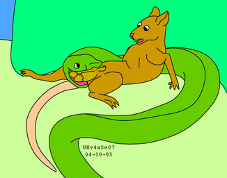 animal_genitalia balls balls_in_mouth brown_balls brown_body brown_fur duo feral frown fur genitals green_body imminent_castration lying male male/male nude_male on_back open_mouth rat_tail sheath size_difference smile tail urbanhermit mammal murid murine rat reptile rodent scalie snake 2004 dated