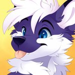 1:1 2021 ambiguous_gender anthro biped black_ears black_nose blep blue_body blue_ears blue_eyes blue_fur canid canine cheek_tuft chest_tuft cute_fangs ear_tuft eyebrows facial_tuft feve fur hair headshot_portrait hi_res icon mammal multi_tone_fur multicolored_body multicolored_ears multicolored_fur neck_tuft portrait simple_background solo tongue tongue_out tuft white_body white_fur white_hair yellow_background