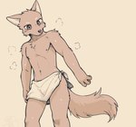 anthro black_nose fluffy fluffy_tail kemono looking_at_another male nipples nude nude_anthro nude_male pointy_ears simple_background solo steam tail towel towel_around_waist wet dark_ishihara ambiguous_species canid canine mammal hi_res