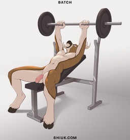 5_fingers abs anthro antlers balls barbell bench_press bodily_fluids circumcised exercise fingers flaccid fur genitals glans gym_equipment hooves horn humanoid_genitalia humanoid_penis male muscular muscular_anthro muscular_male nude_workout pecs penis solo sweat text shiuk batch_(righthandtoaster) deer mammal 2020 absurd_res hi_res url