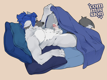 anthro balls bed bedroom blue_hair blush bodily_fluids cum ejaculation emerald_(huskichee) erection fur furniture genital_fluids genitals green_eyes grey_body grey_fur hair heterochromia humanoid_genitalia humanoid_penis lying male nipples nude penis pillow solo wet_dream evvi canid canine canis domestic_dog husky mammal nordic_sled_dog spitz