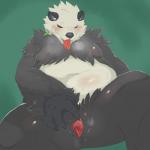 1:1 4_fingers anthro anthrofied atode_kimeru black_body black_eyes black_fur black_nose blush bodily_fluids claws clitoris female fingers fur generation_6_pokemon genitals green_background kemono mammal mature_anthro mature_female mouth_hold navel nintendo nude open_mouth overweight overweight_anthro overweight_female pangoro pokemon pokemon_(species) presenting presenting_pussy pussy sharp_teeth simple_background solo spread_legs spread_pussy spreading sweat teeth tongue tongue_out white_body white_fur