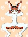 anthro anus breasts female genitals nipples pussy solo killy00 bandai_namco digimon digimon_(species) felid gatomon mammal mikemon hi_res