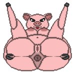 anthro anus big_butt breasts butt facial_piercing female fingers freckles genitals hooved_fingers hooves nipples nose_piercing piercing pink_body plump_labia presenting presenting_anus presenting_pussy puffy_anus pussy slightly_chubby slightly_chubby_female solo tongue tongue_out toridiaz domestic_pig mammal suid suine sus_(pig)