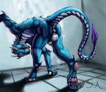 animal_genitalia anthro anus balls balls_blush bent_over blue_body blush body_blush butt claws dewclaw digitigrade feet genitals horn looking_at_viewer looking_back male muscular pawpads penis presenting presenting_hindquarters purple_eyes raised_tail scales sheath shower solo tail tongue ventral_scales wet superagro don't_drop_the_soap mythology set_(superagro) dragon mythological_creature mythological_scalie scalie