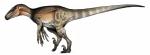 3_fingers 3_toes claws feet feral fingers red_eyes side_view solo toes the_isle dinosaur dromaeosaurid prehistoric_species reptile scalie theropod utahraptor hi_res