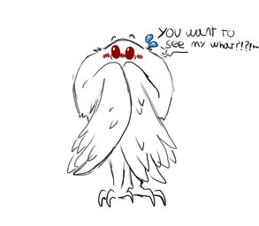 anthro blush bodily_fluids claws covering covering_self dialogue embarrassed flustered male solo sweat sweatdrop talking_to_viewer text wings newmoonnsfw mothman arthropod cryptid insect lepidopteran moth english_text