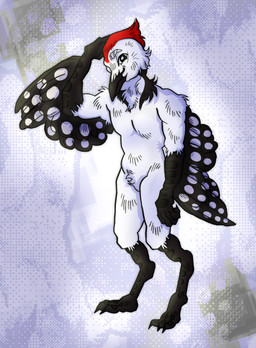 anthro beak black_body black_eyes black_feathers black_wings feathered_wings feathers featureless_crotch feet fur hair looking_at_viewer male nude red_body red_feathers red_fur red_hair simple_background smile solo standing tail tail_feathers talons toes white_body white_feathers wings fenya208 layvan avian bird picid piciform woodpecker absurd_res hi_res