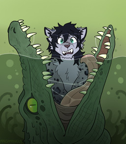 anthro anthro_prey bodily_fluids duo feet_first feral feral_pred inside_mouth larger_pred male open_mouth oral_vore partially_inside saliva scared size_difference teeth tongue underwater unwilling_prey vore water marsamongus vrix crocodile crocodilian felid mammal pantherine reptile scalie snow_leopard hi_res