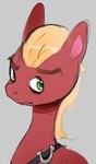 black_clothing blonde_hair clothing feral fur green_eyes hair looking_at_viewer red_body red_fur silver_clothing solo raljoy hasbro my_little_pony no_bitches? sprout_cloverleaf_(mlp) equid equine horse mammal 2022 meme