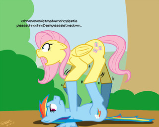 blue_body blue_feathers blue_fur cutie_mark detailed_background duo feathered_wings feathers female feral fur hair multicolored_hair outside pink_hair quadruped rainbow_hair scared tail text toony wings yellow_body yellow_feathers scherzo friendship_is_magic hasbro my_little_pony mythology fluttershy_(mlp) rainbow_dash_(mlp) equid equine mammal mythological_creature mythological_equine pegasus 2011 5:4 english_text source_request
