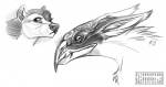 ambiguous_gender beak duo feral fur markings dirtiran mythology avian bird gryphon mythological_avian mythological_creature graphite_(artwork) monochrome signature sketch traditional_media_(artwork)