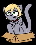 anthro blonde_hair box container fur hair in_box in_container male simple_background solo pokefound mar_krishamun domestic_cat felid feline felis mammal 4:5 alpha_channel digital_media_(artwork)