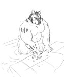 anthro belly biped humanoid_hands kemono male moobs musclegut muscular overweight overweight_male solo water dubudubudubudub knights_college hermann_(knights_college) mammal suid suina sus_(pig) wild_boar 2024 absurd_res hi_res monochrome