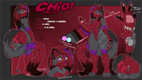anthro asteroid_hyalosis big_butt border butt chastity_cage chastity_device eyewear femboy fur glasses grey_body grey_border heterochromia male multicolored_body purple_body purple_fur red_body red_fur solo text thick_thighs wearing_glasses mistakesrat chiotbonheur canid canine canis domestic_cat domestic_dog felid feline felis herding_dog mammal pastoral_dog welsh_corgi absurd_res hi_res model_sheet spanish_text