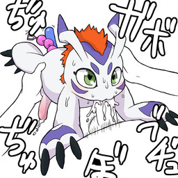 anal anal_beads anal_insertion anal_penetration balls bestiality claws cum cum_in_mouth cum_inside cumshot digimon digiphilia duo erection faceless_male feral fur gay gomamon green_eyes hair insertion interspecies japanese_text kori-nio male oral oral_sex orange_hair orgasm penetration penis plain_background sex sex_toy text white_background white_body white_fur
Rating: Explicit
Score: 4
User: Gilda_The_Gryphon
Date: January 25, 2014