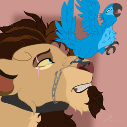 chain chained_collar chained_together duo facesitting feet female feral larger_male looking_pleasured male male/female moan rubbing_vulva sitting sitting_on_another size_difference smaller_female talons toes king_hg_21 blue_sky_studios disney rio_(series) the_lion_king hayden_(king_hg_21) jewel_(rio) avian bird felid lion macaw mammal neotropical_parrot pantherine parrot spix's_macaw true_parrot 1:1 absurd_res hi_res