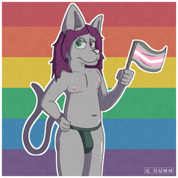 anthro belly border bulge clothing demisexual_pride_colors fur green_eyes grey_body grey_fur hair hand_on_hip heterochromia jockstrap lgbt_pride long_hair long_tail male nipples pride pride_color_flag pride_colors purple_eyes purple_hair simple_background solo tail underwear waving_flag white_border wide_hips g_bunn domestic_cat felid feline felis mammal 1:1 hi_res