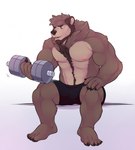 anthro beard biceps bodily_fluids body_hair brown_body brown_fur bulge clothed clothing dumbbell exercise facial_hair fur happy_trail male muscular muscular_anthro muscular_male neck_tuft pecs sitting solo sweat tuft underwear underwear_only weightlifting weights workout shoguru azuras bear mammal hi_res