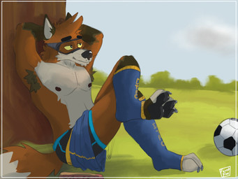 against_natural_surface against_surface against_tree anthro armpit_hair ball blue_bottomwear blue_clothing blue_footwear blue_shorts blue_socks body_hair border bottle bottomwear boxer_briefs clothed clothed_male clothing container day eyewear footwear goggles grass male male_anthro outside plant shorts sitting soccer_ball socks solo toeless_footwear toeless_socks topless topless_male tree underwear water_bottle yellow_sclera ethan_forestfox ethan_blade canid canine mammal maned_wolf 2022 4:3 hi_res signature