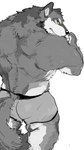 anthro back_muscles big_muscles blue_eyes butt clothing fur grey_body grey_fur looking_at_viewer looking_back male muscular muscular_male simple_background solo underwear white_background yellow_sclera fuddyblog canid canine canis mammal wolf hi_res