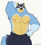 2024 absurd_res anthro armpit_hair australian_cattle_dog bandit_heeler belly biceps big_forearms black_bottomwear black_clothing black_pants blue_body blue_fur bluey_(series) body_hair bottomwear canid canine canis cattledog clothed clothing digital_media_(artwork) domestic_dog forearms fur herding_dog hi_res looking_at_viewer luner96_(artist) male mammal muscular muscular_arms muscular_male navel nipples pants partially_clothed pastoral_dog simple_background smile solo stocky topless topless_male triceps