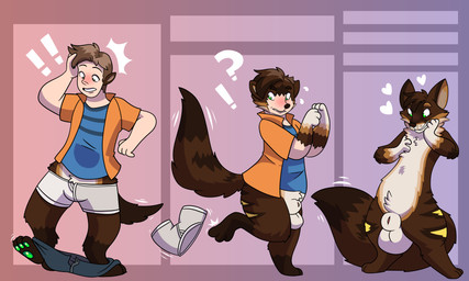 animal_genitalia anthro balls blush bottomless brown_body brown_fur brown_hair clothed clothing discarded_clothing fully_sheathed fur fur_growth genitals growth hair heart_symbol human_to_anthro male nude pawpads sheath snout snout_growth solo species_transformation tail tail_growth three_frame_sequence transformation transformation_sequence white_body white_fur trubbol emmett_(mr.mortecai) canid canine fox human mammal 5:3 hi_res sequence
