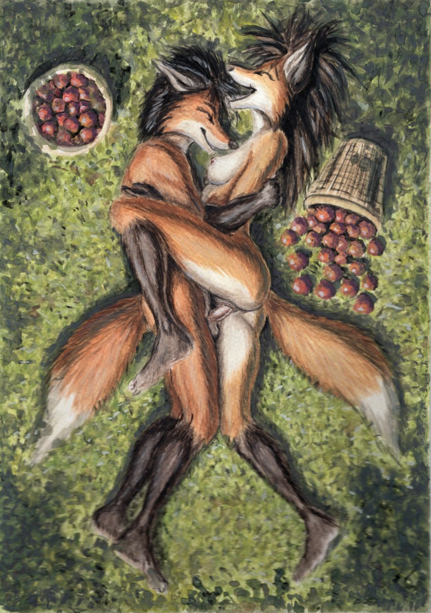 anthro apple apple_basket average_penis balls basket breasts container day duo enjoying enjoyment erection eyes_closed female female_penetrated food fruit genitals grass happy happy_sex humanoid_genitalia humanoid_penis male male/female male_penetrating male_penetrating_female nipples nude nude_anthro nude_female nude_male passionate penetration penis plant pussy raised_leg sex smile vaginal vaginal_penetration white_breasts syntech canid canine canis fox mammal gouache_(artwork) hi_res painting_(artwork) traditional_media_(artwork) traditional_painting_(artwork)