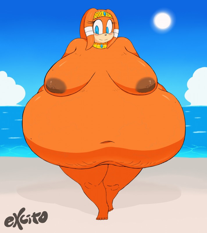 tikal the echidna (sonic the hedgehog (series) and etc) created by excito