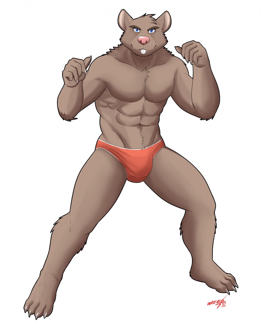 abs anthro blue_eyes brown_body brown_fur buckteeth bulge claws clothed clothing detailed_bulge eyebrows fighting_pose fur looking_at_viewer male muscular muscular_anthro muscular_male pink_nose pose simple_background solo standing teeth underwear underwear_only white_background ligoni mammal murid murine rat rodent hi_res