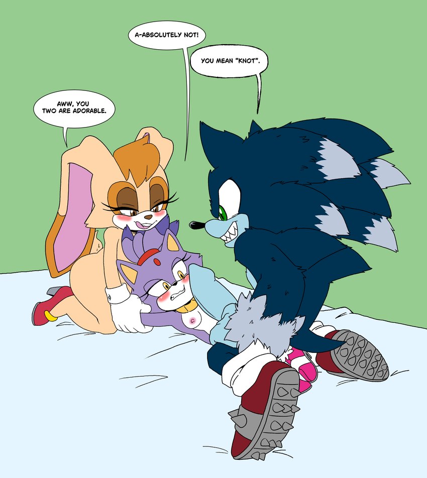 blaze the cat, sonic the hedgehog, sonic the werehog, and vanilla the rabbit (sonic the hedgehog (series) and etc) created by leatherruffian