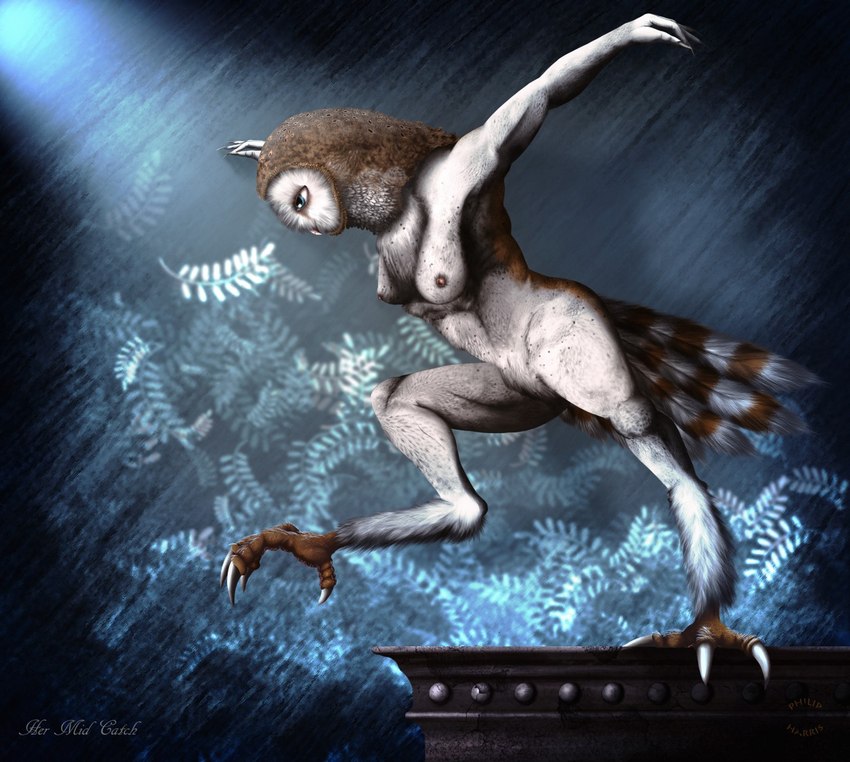 anthro avian_feet beak breasts claws feathers feet female looking_down nipples non-mammal_breasts nude pose solo tail tail_feathers talons toes white_body white_feathers smexyoryx avian barn_owl bird owl tyto tytonid