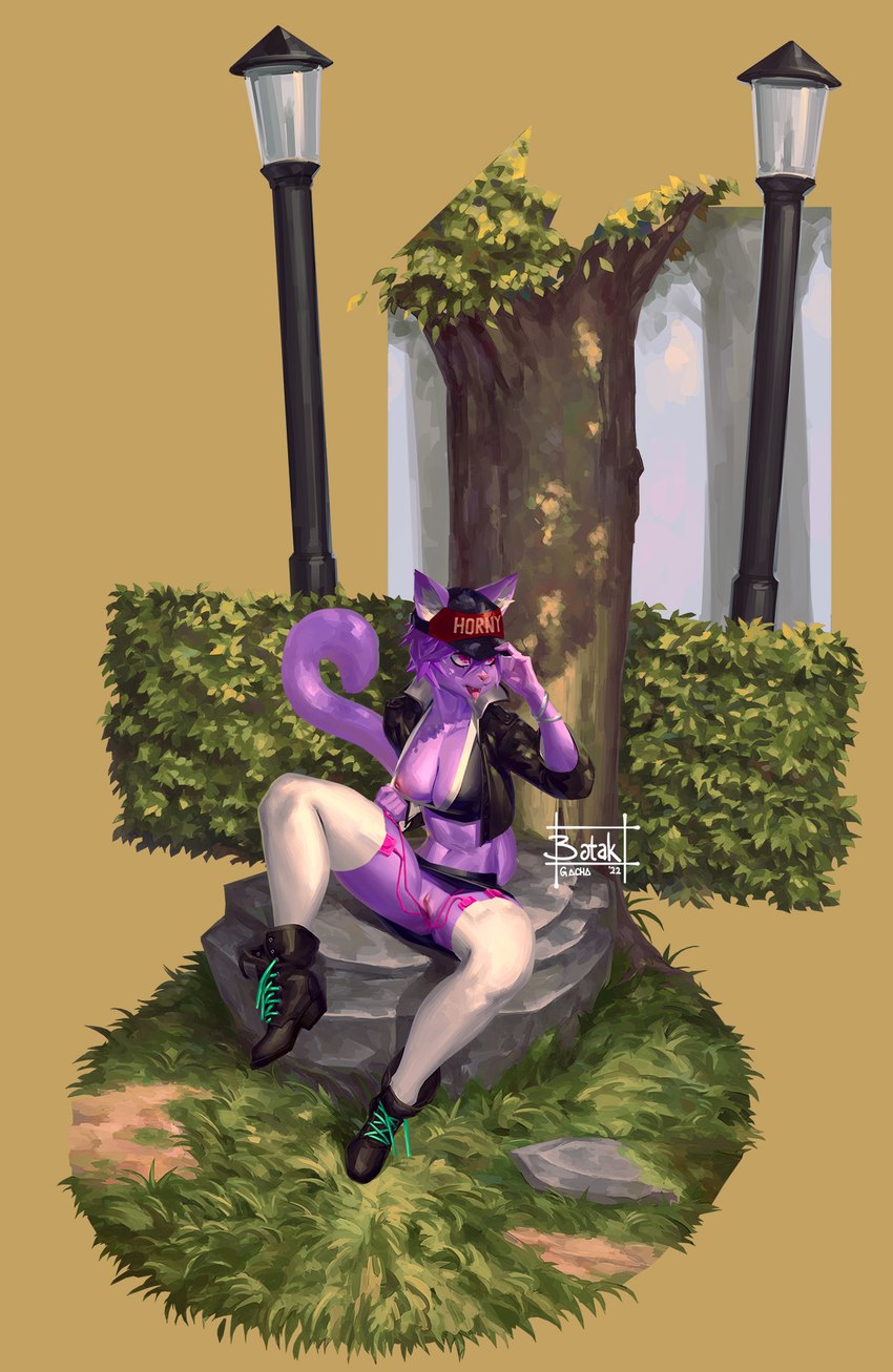 adjusting_hat anthro big_breasts boots breasts clothing female footwear fur genitals grass hair hat headgear headwear jacket legwear nipples one_breast_out outside plant purple_body purple_fur purple_hair pussy sex_toy shoes sitting smile solo spread_legs spreading stockings street_lamp topwear tree botak ultra_(ultrabondagefairy) domestic_cat felid feline felis mammal 2022 hi_res