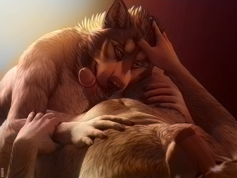 5_fingers anthro anthro_on_anthro arm_grab belly_rub black_nose brown_background claws duo erection eyes_closed fellatio fingers fur genitals grey_body grey_fur hair half-closed_eyes hand_on_chest hand_on_head head_in_crotch humanoid_genitalia humanoid_penis inner_ear_fluff licking love lying male male/male narrowed_eyes nude on_back on_front oral penile penis penis_lick realistic romantic romantic_couple seductive semi_pov sex simple_background slightly_chubby teasing tongue tongue_out tuft vein veiny_penis white_body white_fur kannos third-party_edit canid canine canis mammal wolf 4:3