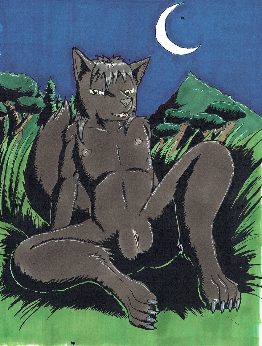 anthro black_body black_fur clitoris evening female flat_chested fur genitals grass moon nature nipples nude plant pussy sitting solo spread_legs spreading tree young young_female nyghtmar3 canid canine canis mammal wolf hi_res traditional_media_(artwork)