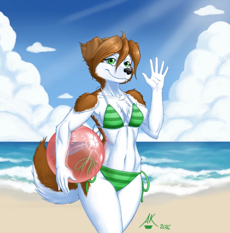 5_fingers anthro back-tie_bikini back-tie_clothing back-tie_swimwear ball beach beach_ball bikini black_nose breasts brown_body brown_fur brown_hair clothed clothing cloud day detailed_background female fingers fur gesture green_eyes hair holding_ball holding_object inflatable long_hair looking_at_viewer navel neck-tie_bikini neck-tie_clothing neck-tie_swimwear outside pool_toy sand seaside side-tie_bikini side-tie_clothing side-tie_swimwear sky smile solo string_bikini swimwear text translucent tuft two-piece_swimsuit water waving waving_at_viewer white_body white_fur atticuskotch amber_(atticuskotch) canid canine mammal 2016 english_text hi_res signature