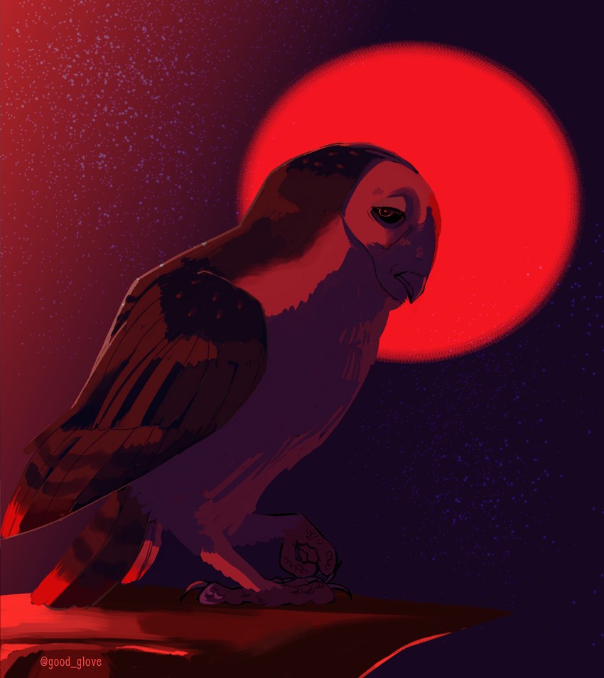 black_eyes blood_moon brown_body brown_feathers feathers feet feral male night sky solo talons toes white_body white_feathers goodglove guardians_of_ga'hoole uglamore_(gogh) avian barn_owl bird owl tyto tytonid absurd_res hi_res