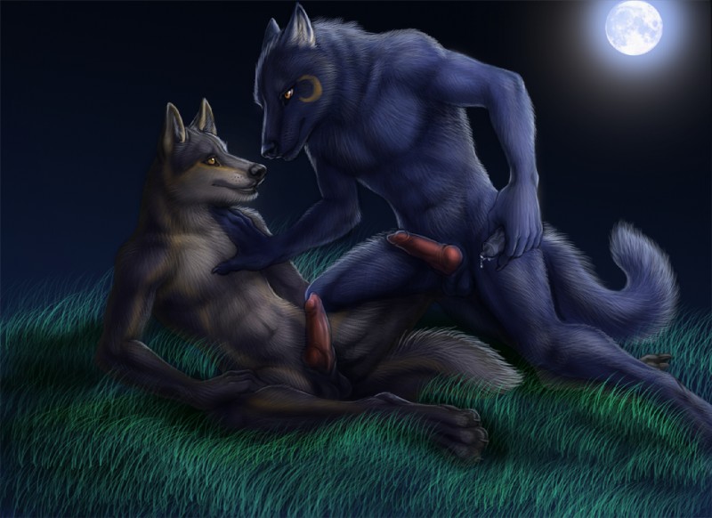 animal_genitalia animal_penis anthro balls blue_body blue_fur canine_genitalia canine_penis detailed_background duo erection full_moon fur genitals knot lube male male/male moon night nude outside penis romantic romantic_ambiance romantic_couple sex tail tattoo rukis aurawolf granite_the_wolf canid canine canis mammal wolf 2011