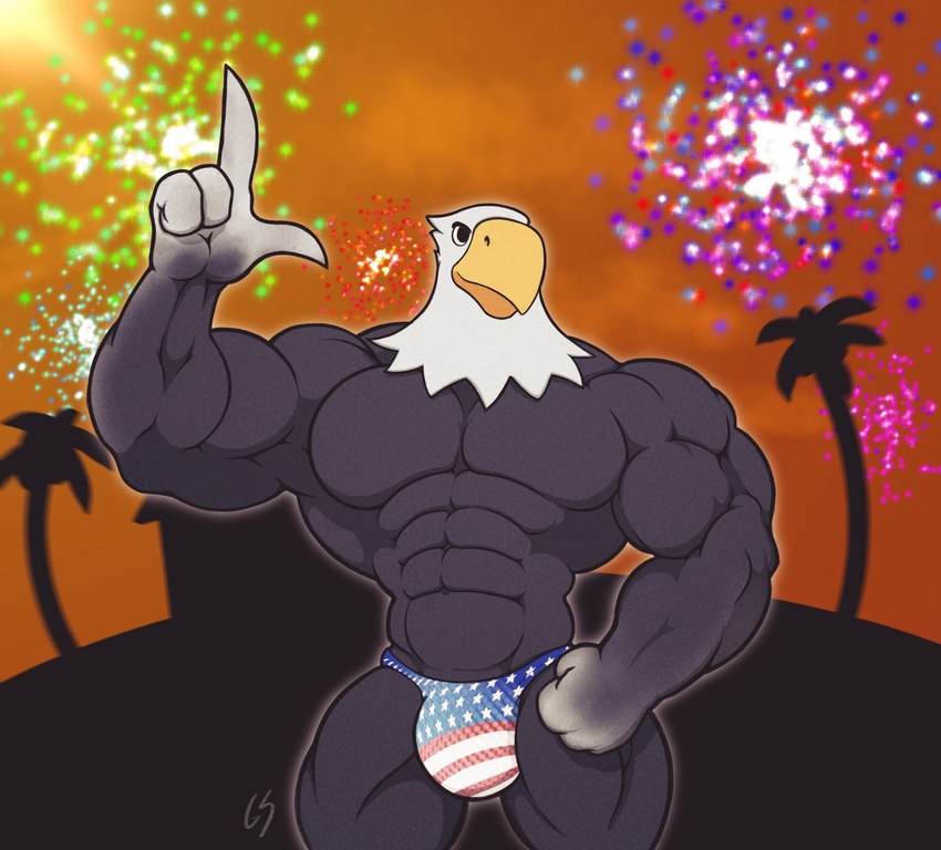 american_flag_underwear anthro beak bulge clothing fireworks male muscular muscular_anthro muscular_male solo swimwear underwear glaciersnow gs animal_crossing nintendo apollo_(animal_crossing) avian bird hi_res