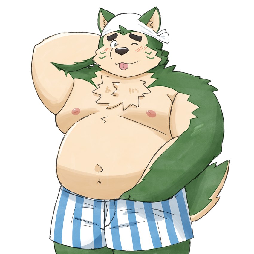 anthro belly blep blush boxers_(clothing) clothing embarrassed eyebrows fur green_body green_fur male moobs navel nipples one_eye_closed overweight overweight_male solo thick_eyebrows tongue tongue_out underwear wink yaki_atsuage lifewonders live_a_hero mokdai canid canine canis domestic_dog mammal 1:1 hi_res