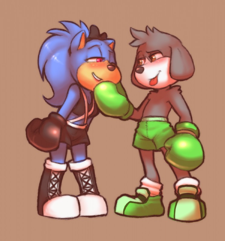 anthro boots bottomwear boxing_gloves clothing duo female flustered footwear handwear happy male shoes shorts namelessenemy sega sonic_the_hedgehog_(series) fan_character canid canine canis domestic_dog eulipotyphlan hedgehog mammal