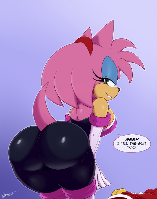 amy rose and rouge the bat (sonic the hedgehog (series) and etc) created by bigdon1992 and nyuroraxbigdon