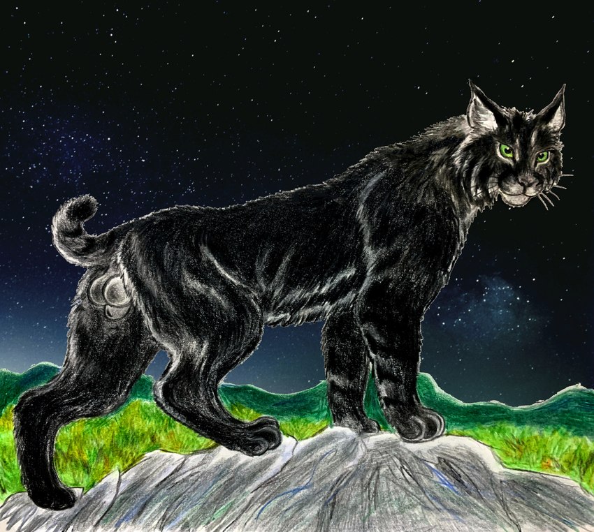 all_fours animal_genitalia anus balls black_body black_fur feline_sheath feral fully_sheathed fur genitals green_eyes male night outside raised_tail rock sheath star tail dragoness31 kade_(dragoness31) felid feline lynx mammal hi_res