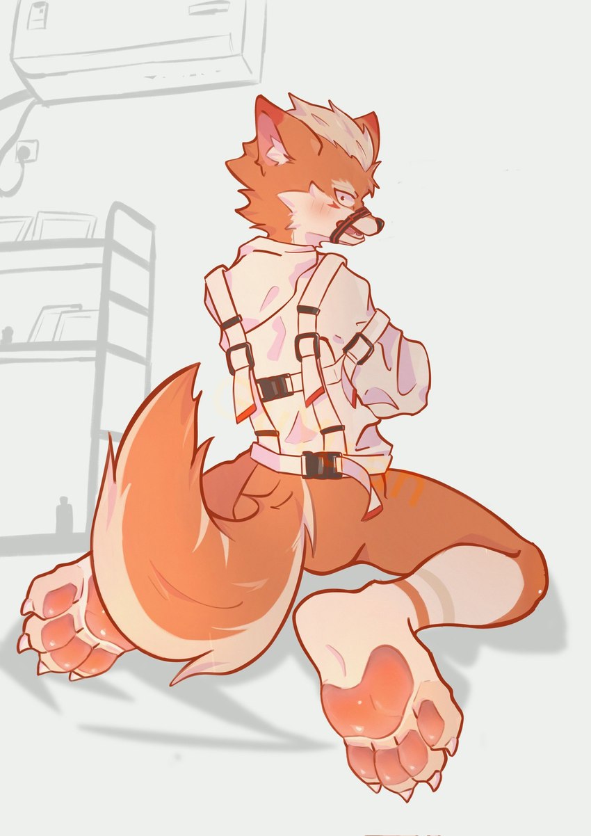 anthro biped bottomless bottomless_anthro bottomless_male clothed clothing countershade_fur countershading fur kneeling kneeling_on_ground looking_at_viewer male muzzle_(object) muzzled orange_body orange_fur restraints slim_anthro slim_male slim_sub solo straitjacket submissive submissive_anthro submissive_male white_body white_countershading white_fur gyuandwb canid canine fox mammal 2024 hi_res